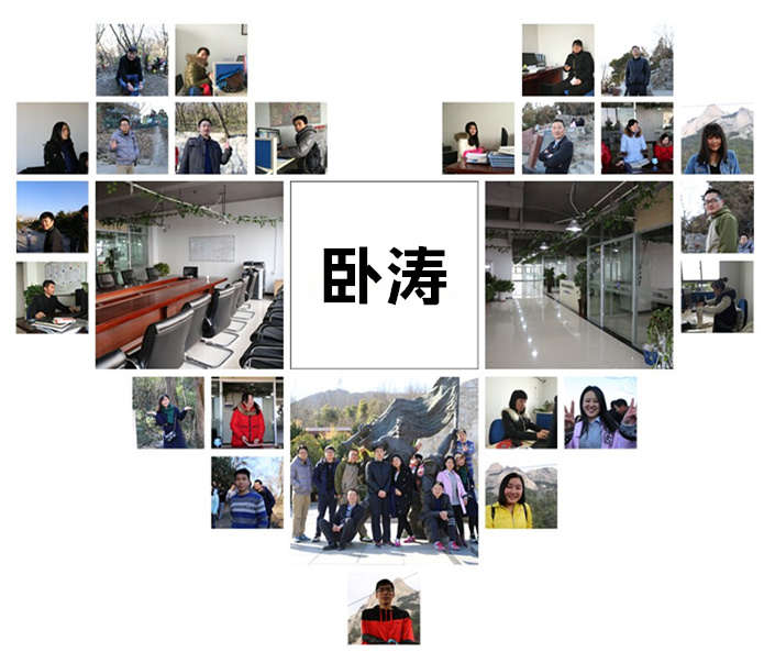 臥濤發展歷程 臥濤發展歷程